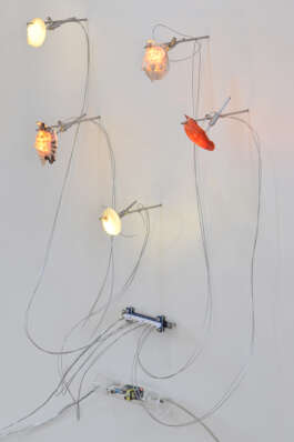  Collectible, the fair for 21st century design.